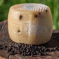 formaggio pecorino al pepe nero