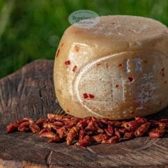 formaggio pecorino al peperoncino