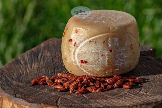 formaggio pecorino al peperoncino