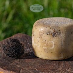 formaggio pecorino al tartufo