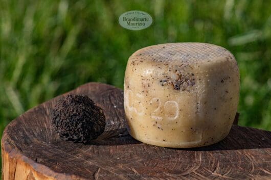 formaggio pecorino al tartufo