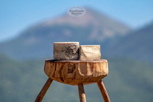 Formaggio pecorino erborinato