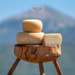 Formaggio pecorino fresco di Norcia