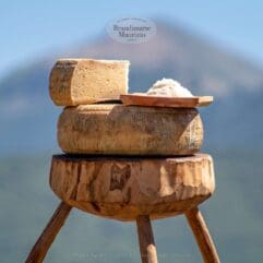 Formaggio pecorino il gigante