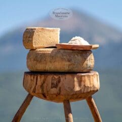 Formaggio pecorino il gigante