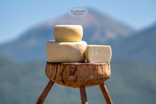 Formaggio pecorino primosale