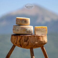 pecorino di norcia semistagionato