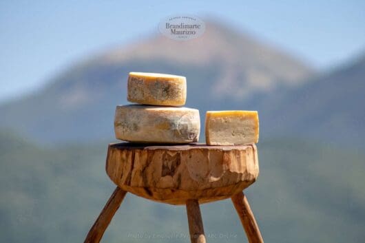 pecorino di norcia semistagionato