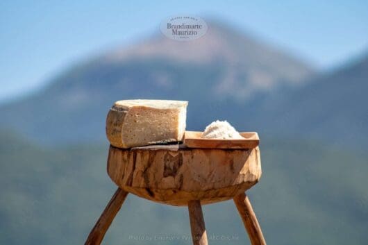 Formaggio pecorino stagionato