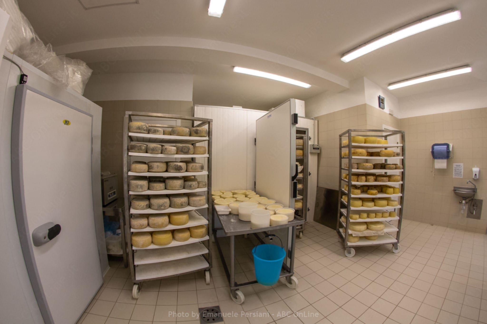 formaggio pecorino umbro di norcia interno laboratorio formaggio pecorino norcia 8mm