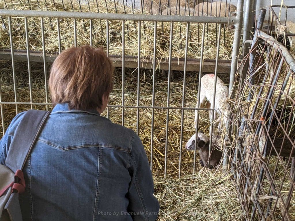 visita fattoria