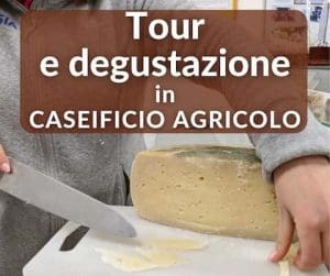 tour con degustazione nel caseificio agricolo